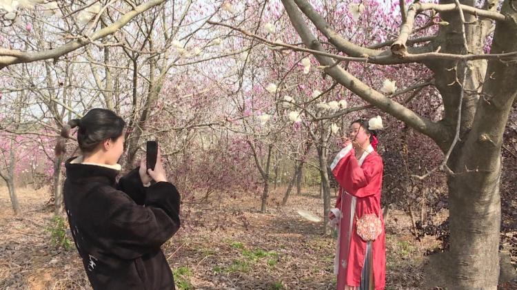 9ab8c6654c834c7289a3c09b6c3e1427.jpg 9ab8c6654c834c7289a3c09b6c3e1427.jpg