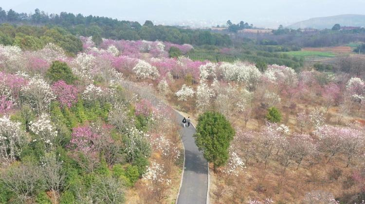 4cf226f82fa24261a85fc8b958e11dc9.jpg 4cf226f82fa24261a85fc8b958e11dc9.jpg