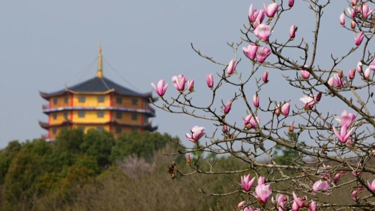 5c93d5af5ef942259679ad759ed4e8c5.jpg 5c93d5af5ef942259679ad759ed4e8c5.jpg