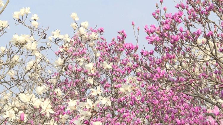 efffbeeaa8b94f4eac7a93e5dfc45b59.jpg efffbeeaa8b94f4eac7a93e5dfc45b59.jpg