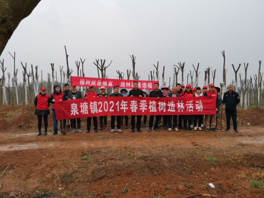 圖片1.png 圖片1.png