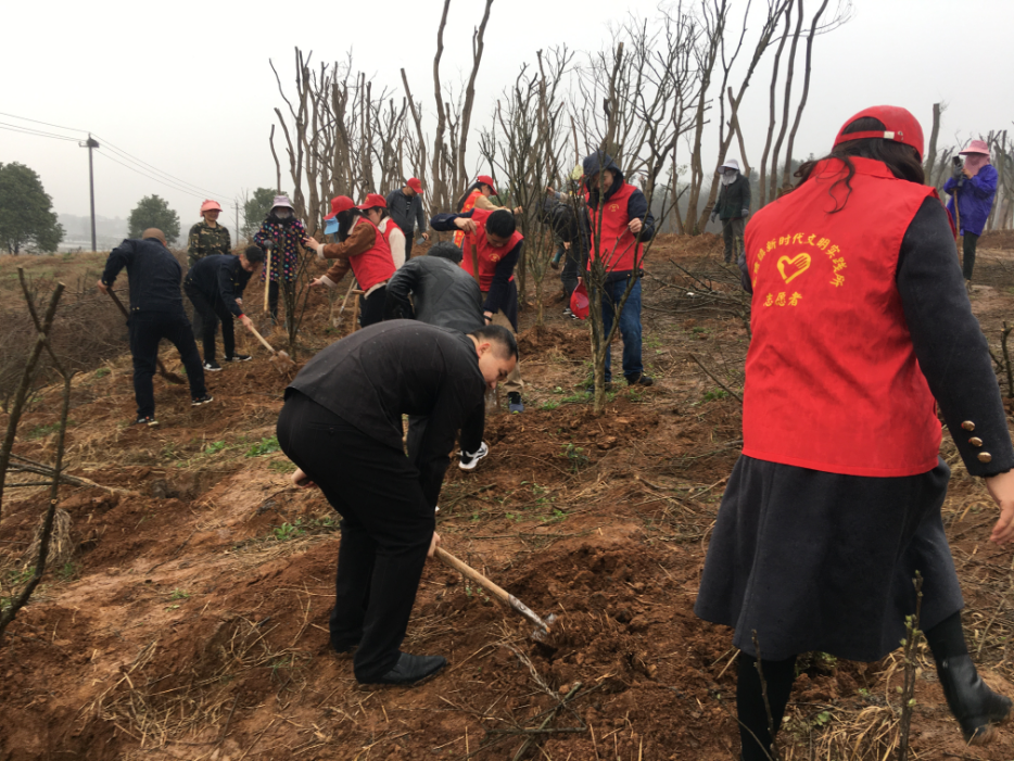 圖片2.png 圖片2.png