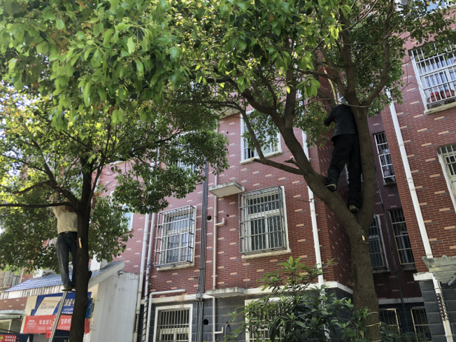 圖片1.png 圖片1.png