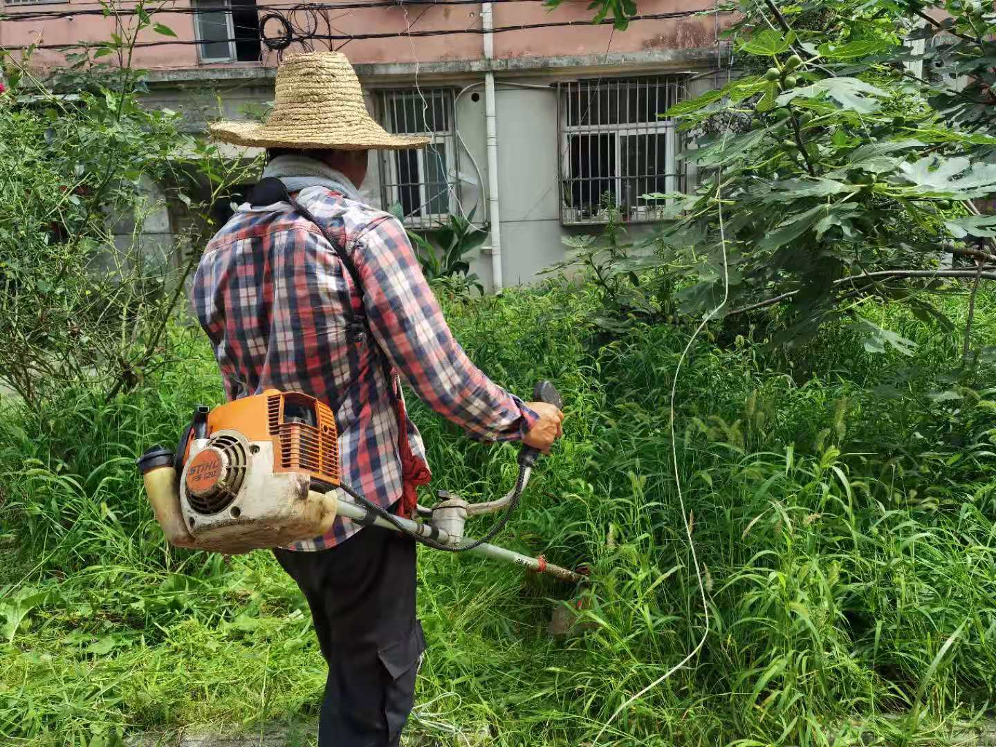 圖片15.png 圖片15.png