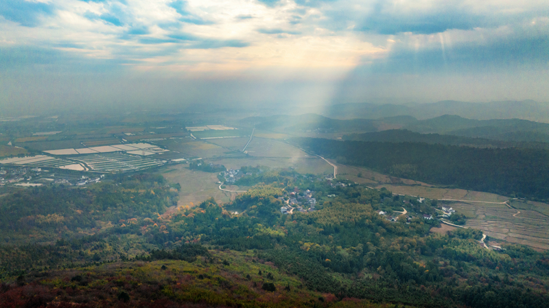 W020221116610283281870.jpg W020221116610283281870.jpg