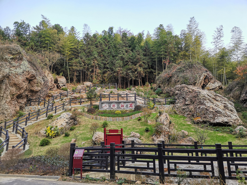 W020221116610284724001.jpg W020221116610284724001.jpg