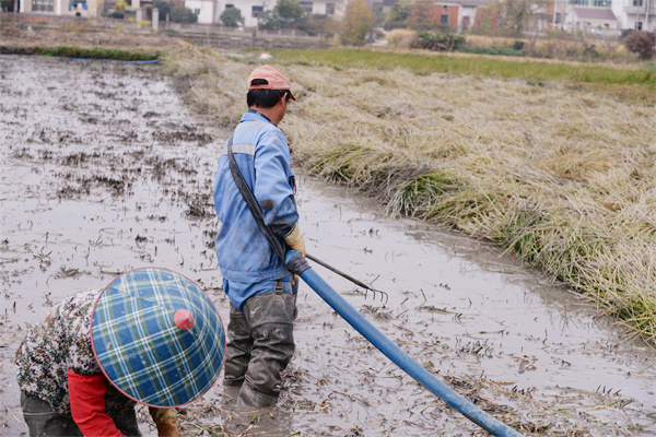 圖片4.jpg 圖片4.jpg