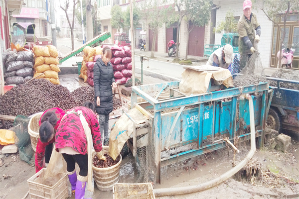 圖片5.jpg 圖片5.jpg