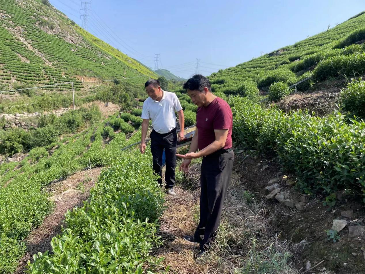 圖片2.jpg 圖片2.jpg