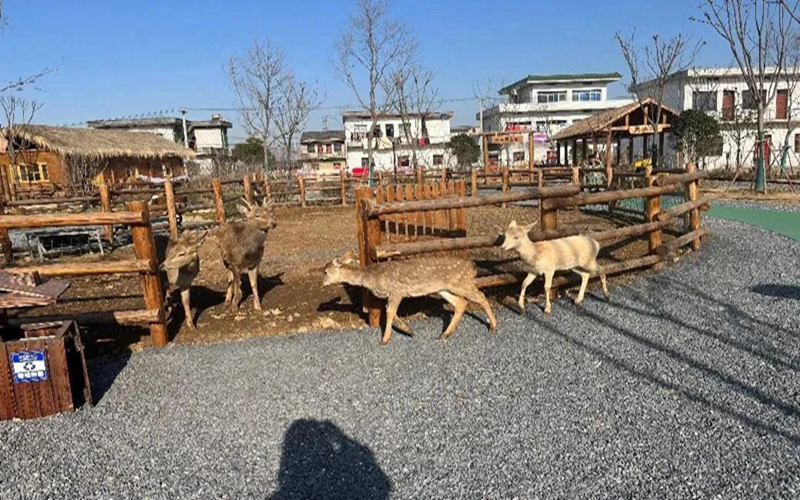 圖片5.jpg 圖片5.jpg