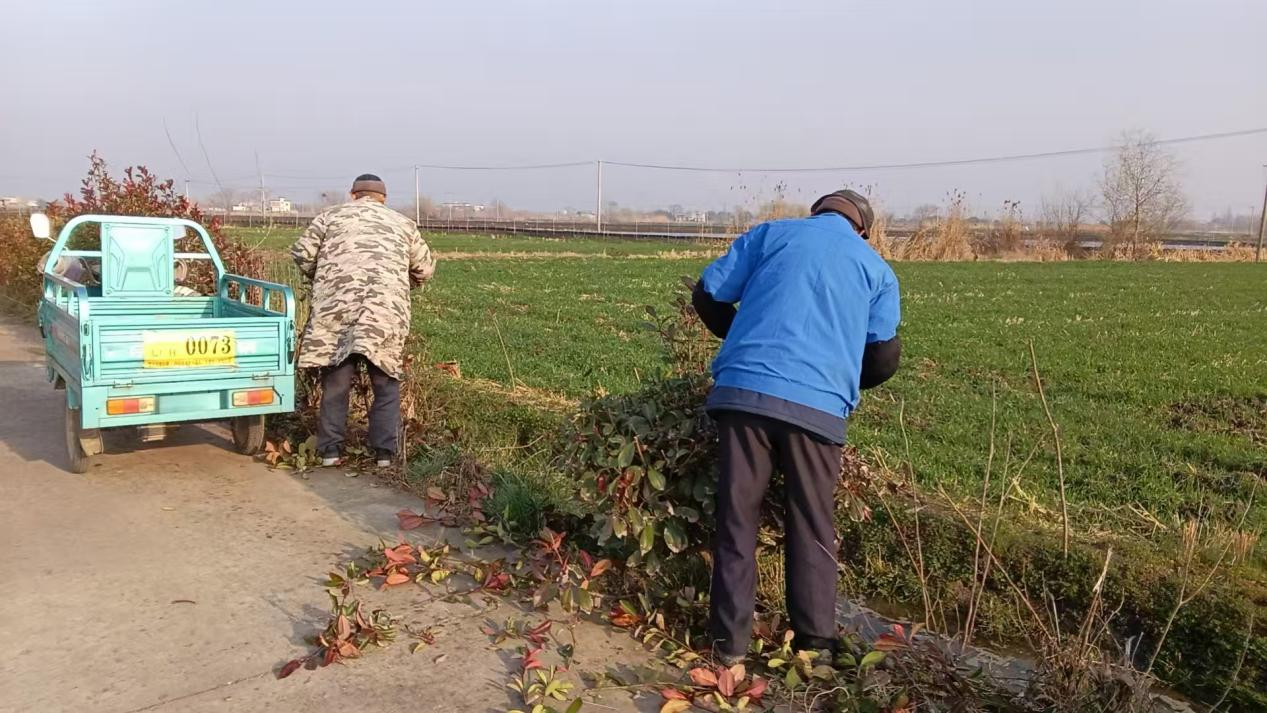 圖片11.png 圖片11.png