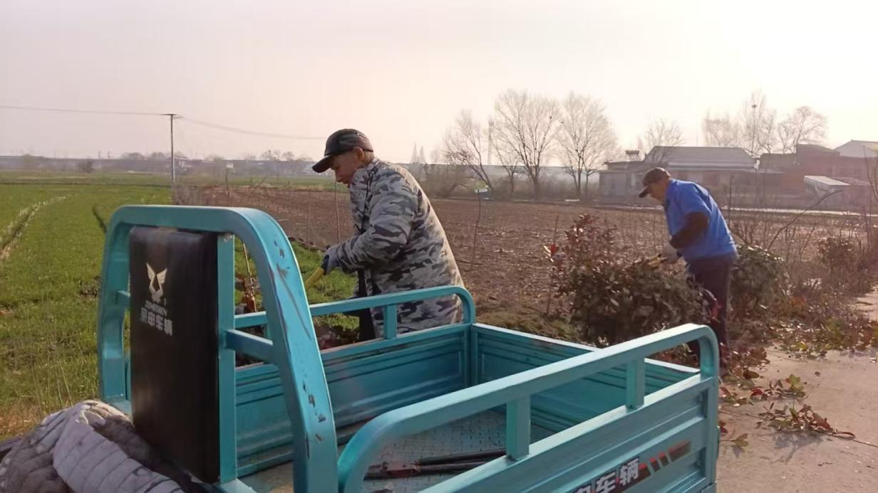 圖片12.png 圖片12.png