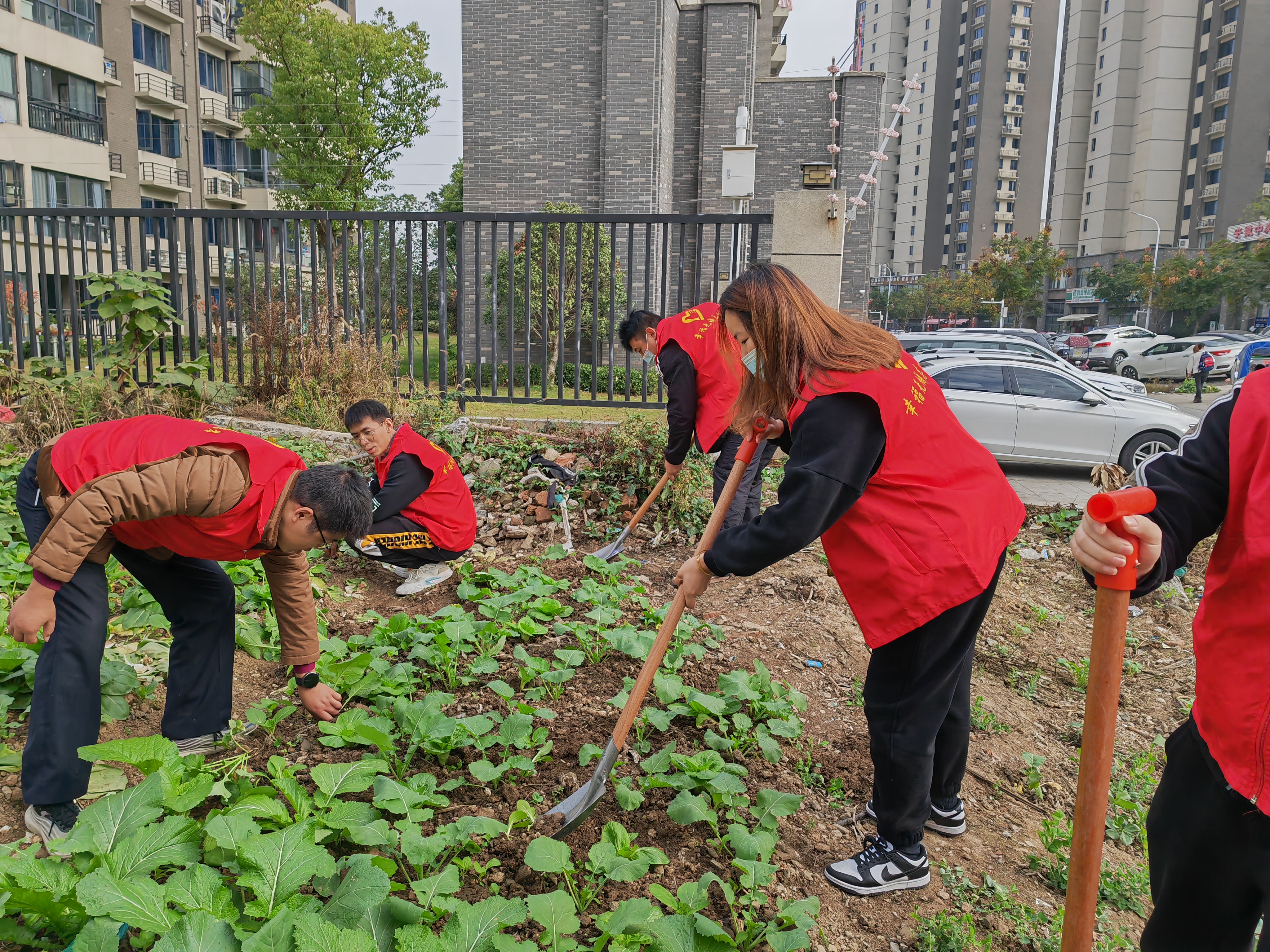 圖片4.jpg 圖片4.jpg