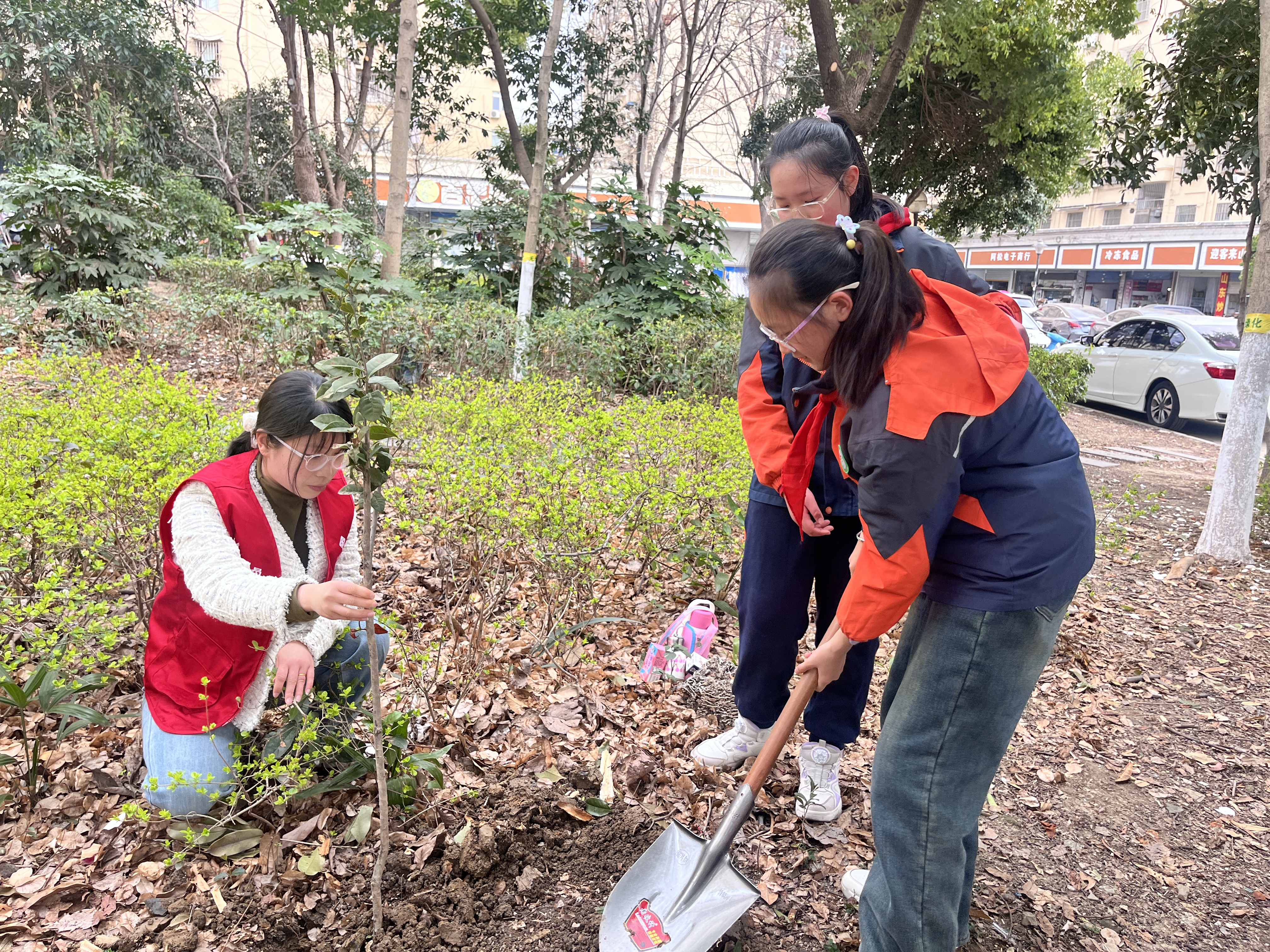 圖片15.png 圖片15.png