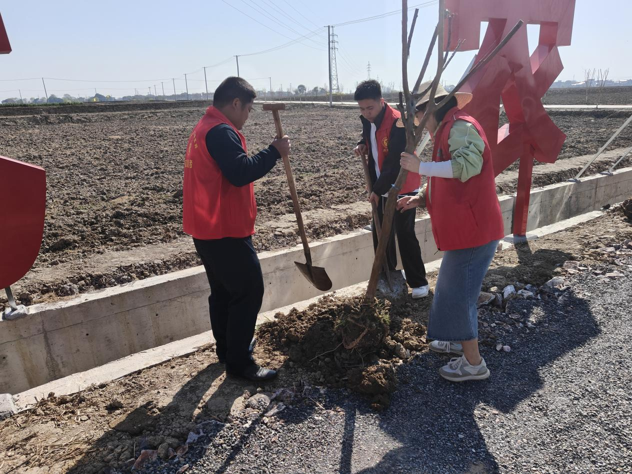 圖片11.png 圖片11.png