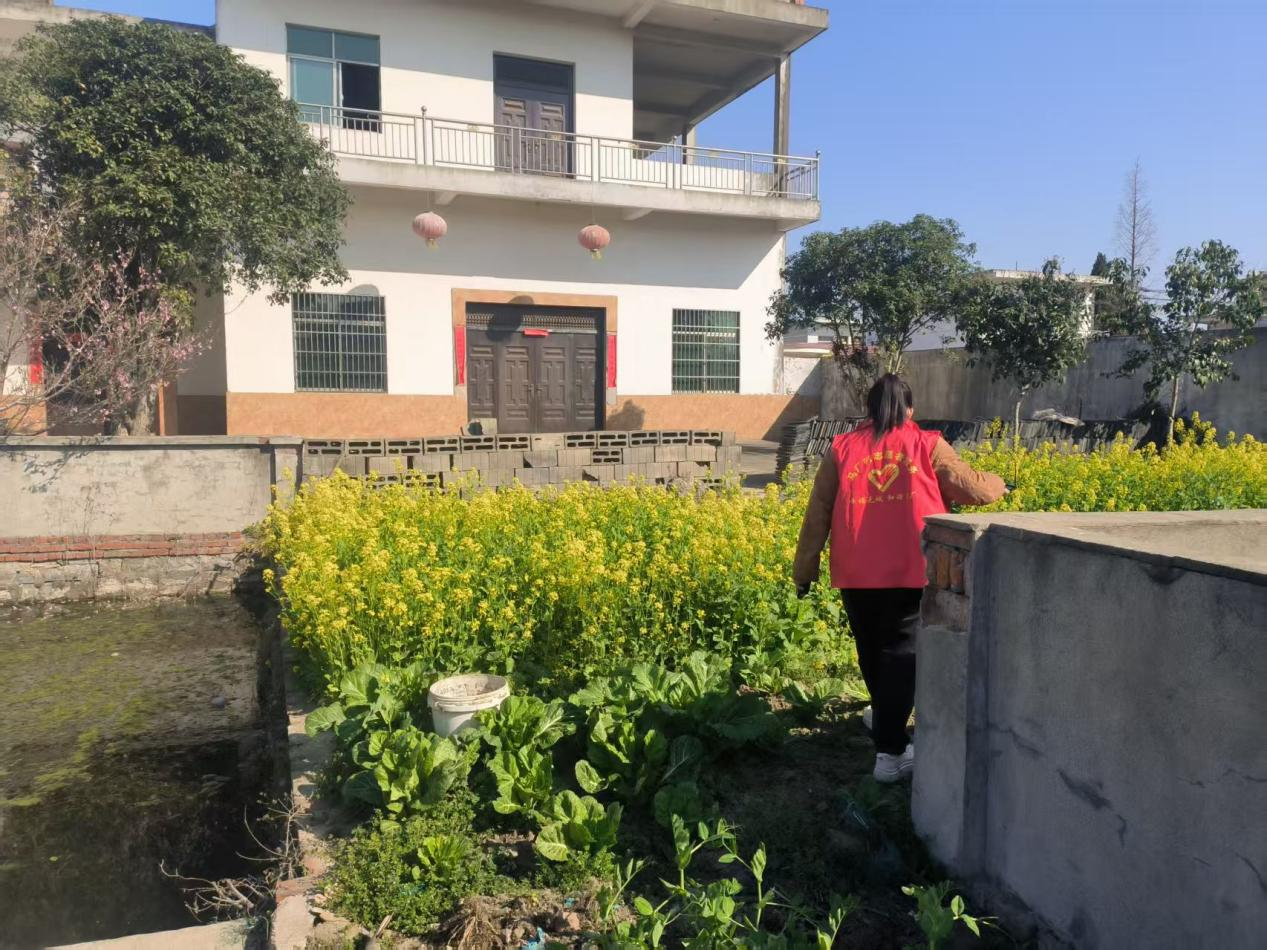 圖片5.png 圖片5.png